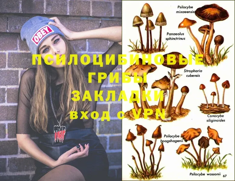 Галлюциногенные грибы MAGIC MUSHROOMS  Спасск-Рязанский 